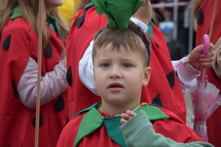 45. Skierniewickie Święto Kwiatów, Owoców i Warzyw. Parada