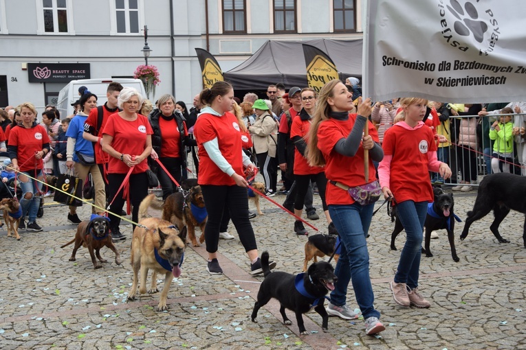 45. Skierniewickie Święto Kwiatów, Owoców i Warzyw. Parada