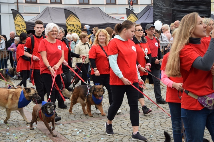 45. Skierniewickie Święto Kwiatów, Owoców i Warzyw. Parada