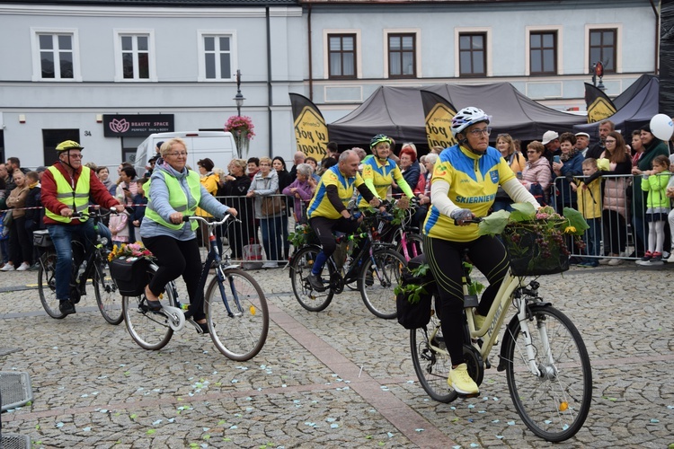 45. Skierniewickie Święto Kwiatów, Owoców i Warzyw. Parada