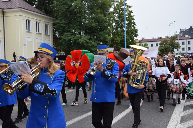 45. Skierniewickie Święto Kwiatów, Owoców i Warzyw. Parada