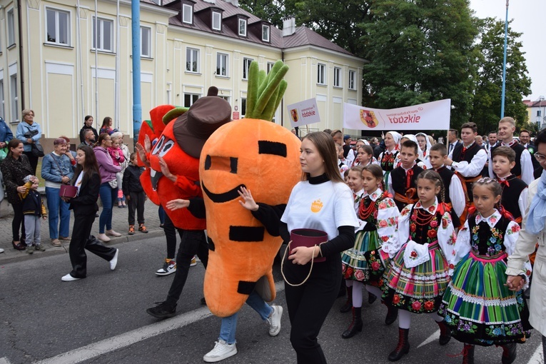 45. Skierniewickie Święto Kwiatów, Owoców i Warzyw. Parada