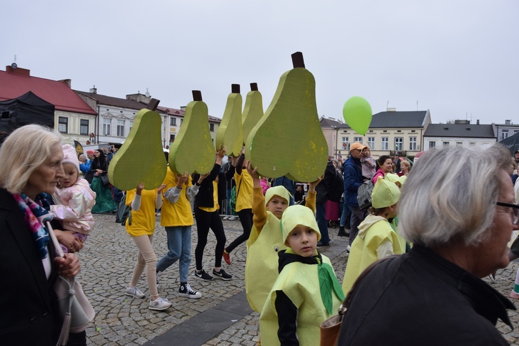 45. Skierniewickie Święto Kwiatów, Owoców i Warzyw. Parada