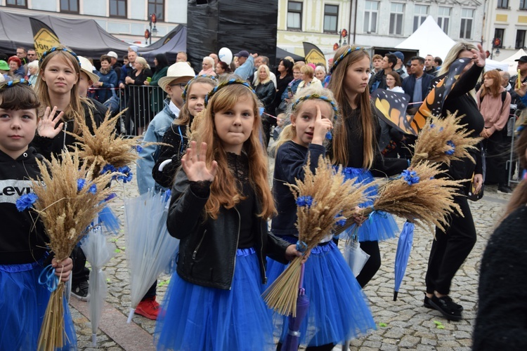 45. Skierniewickie Święto Kwiatów, Owoców i Warzyw. Parada