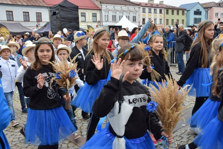 45. Skierniewickie Święto Kwiatów, Owoców i Warzyw. Parada