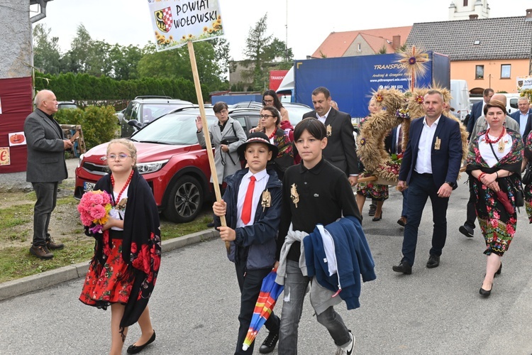 Udanin. Dolny Śląsk podziękował za plony