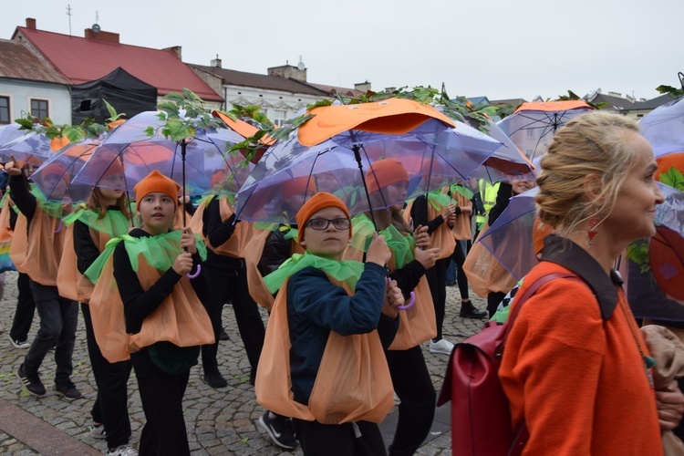 45. Skierniewickie Święto Kwiatów, Owoców i Warzyw. Parada