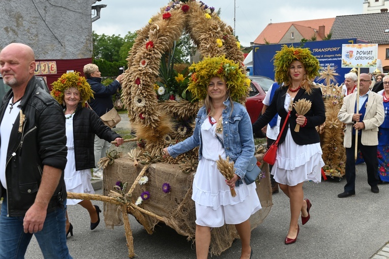 Udanin. Dolny Śląsk podziękował za plony