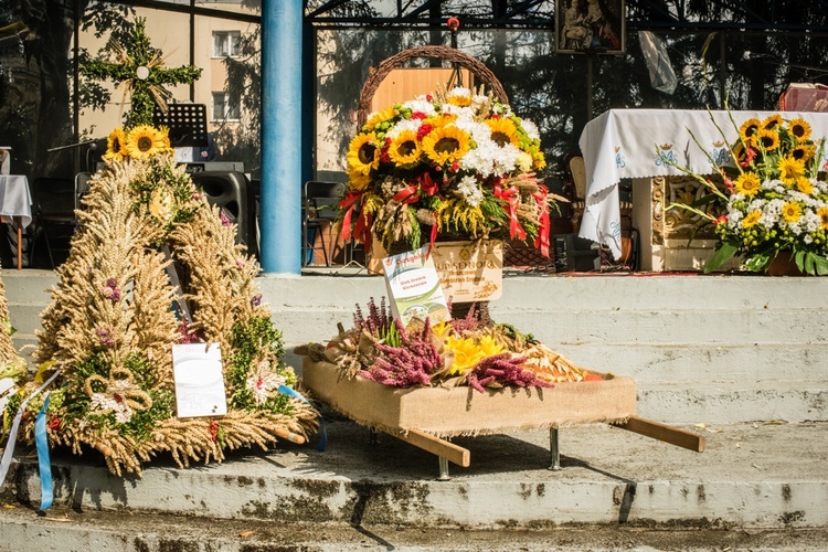 Msza św. i dożynki w Trąbkach Wielkich