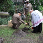 Zasadzenie dębu papieskiego w ogrodzie biskupim