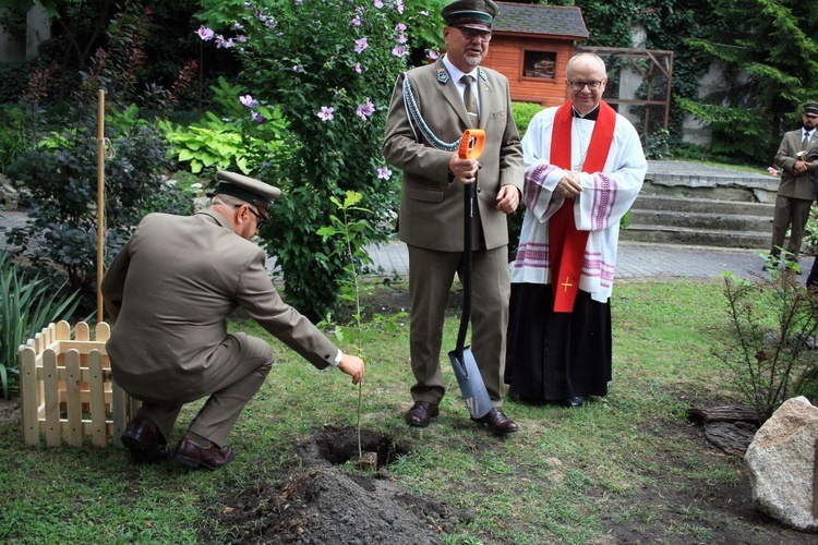 Zasadzenie dębu papieskiego w ogrodzie biskupim