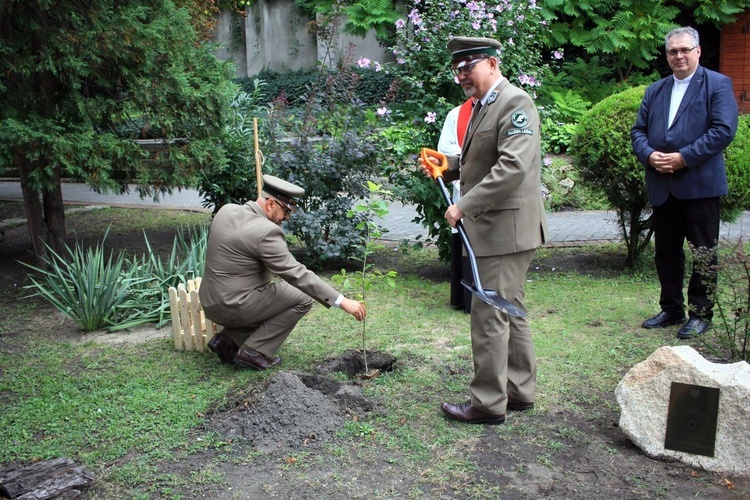 Zasadzenie dębu papieskiego w ogrodzie biskupim