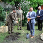 Zasadzenie dębu papieskiego w ogrodzie biskupim