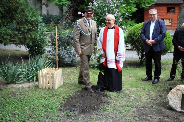 Zasadzenie dębu papieskiego w ogrodzie biskupim