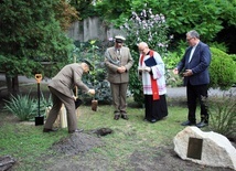 Zasadzenie dębu papieskiego w ogrodzie biskupim