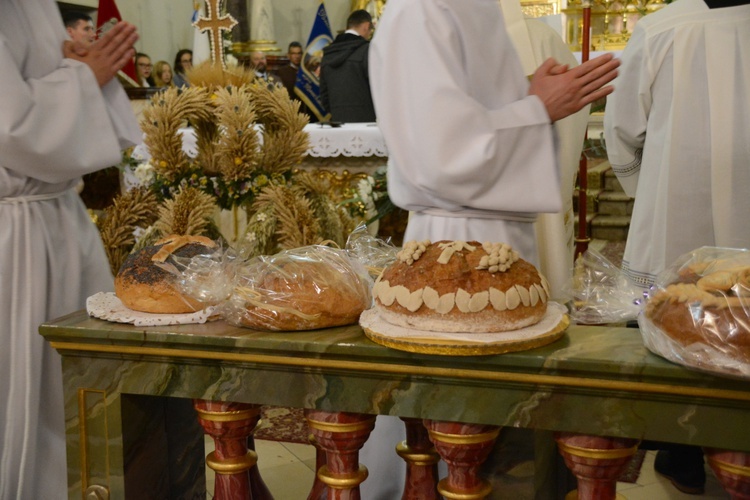 Diecezjalne dożynki na Górze św. Anny