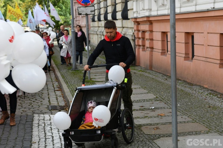 III Marsz dla Życia i Rodziny w Żarach