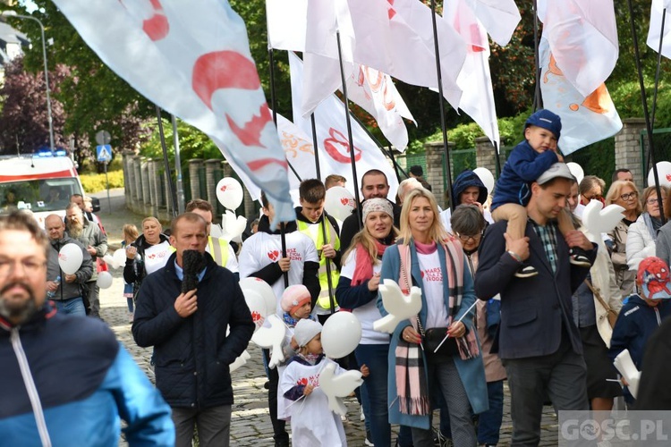 III Marsz dla Życia i Rodziny w Żarach