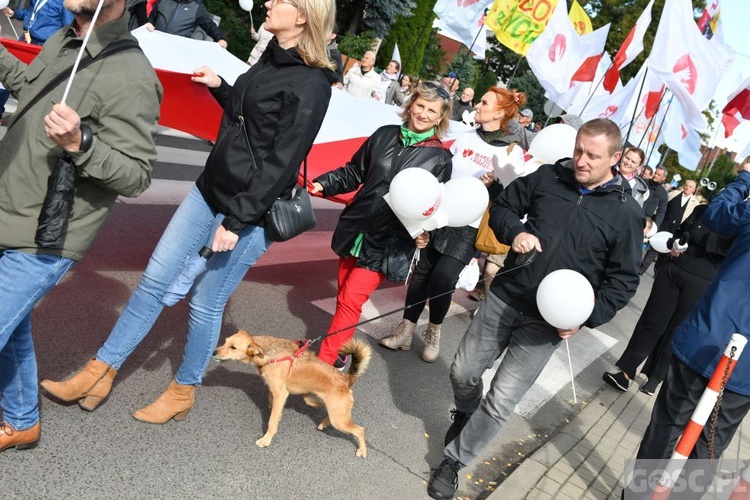 III Marsz dla Życia i Rodziny w Żarach