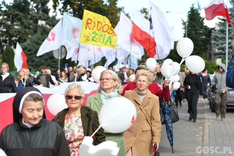 III Marsz dla Życia i Rodziny w Żarach