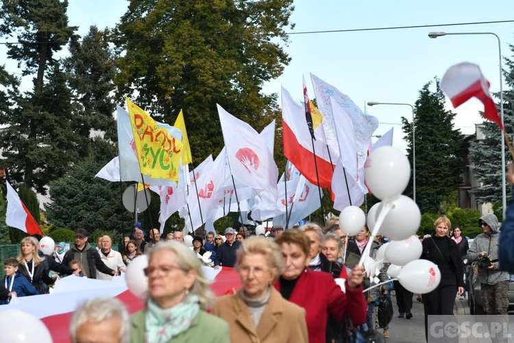 III Marsz dla Życia i Rodziny w Żarach