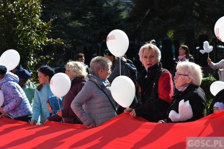 III Marsz dla Życia i Rodziny w Żarach