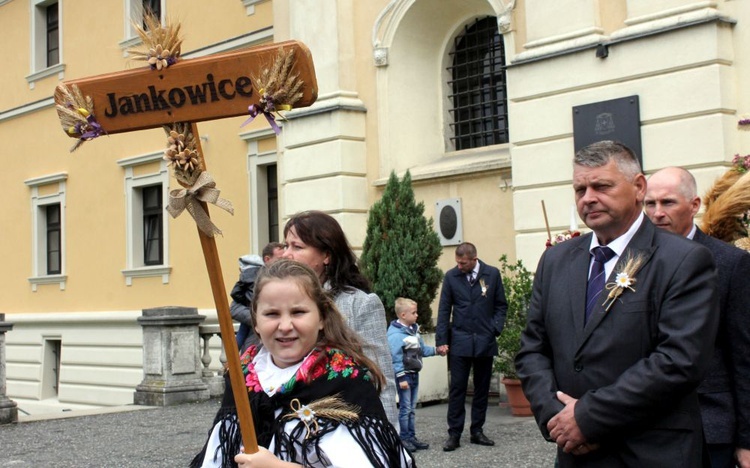 Dożynki diecezjalne w Rudach