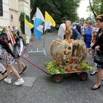 Dożynki diecezjalne w Rudach