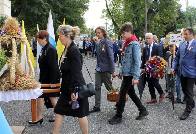 Dożynki diecezjalne w Rudach