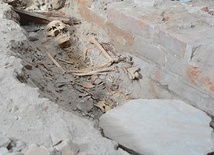 Jeden z odkrytych pochówków.