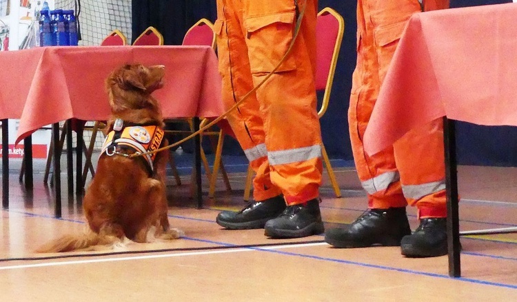 11. Międzynarodowe Maltańsko-Strażackie Manewry Ratownicze w Tresnej