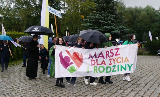 10. Marsz dla Życia i Rodziny w Oświęcimiu - 2022