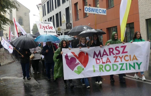 10. Marsz dla Życia i Rodziny w Oświęcimiu - 2022