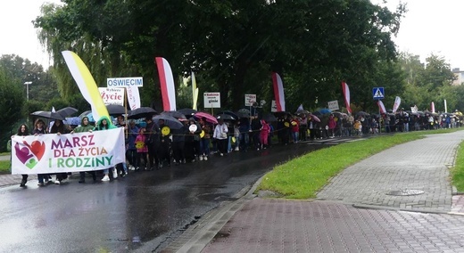 10. Marsz dla Życia i Rodziny w Oświęcimiu - 2022