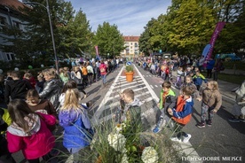 Tychy. Projekt "Szkolna ulica". Jezdnia przy szkole wyłączona z ruchu