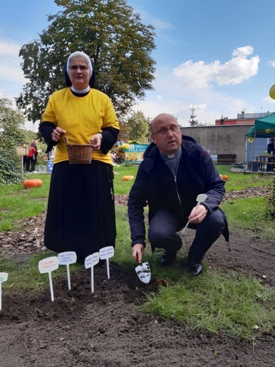 Sadzenie żonkili w dzierżoniowskim ZOL-u