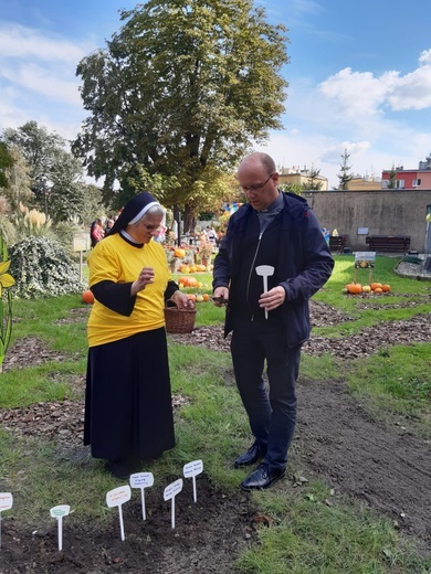 Sadzenie żonkili w dzierżoniowskim ZOL-u