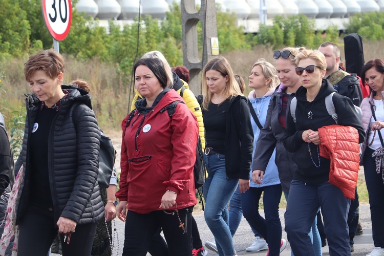 Pielgrzymka Katechetów i Nauczycieli diecezji łowickiej