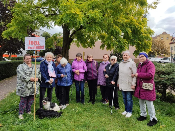 Koronka na ulicach - Wałcz i okolice