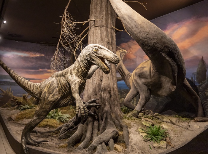 Roztoczański Park Narodowy