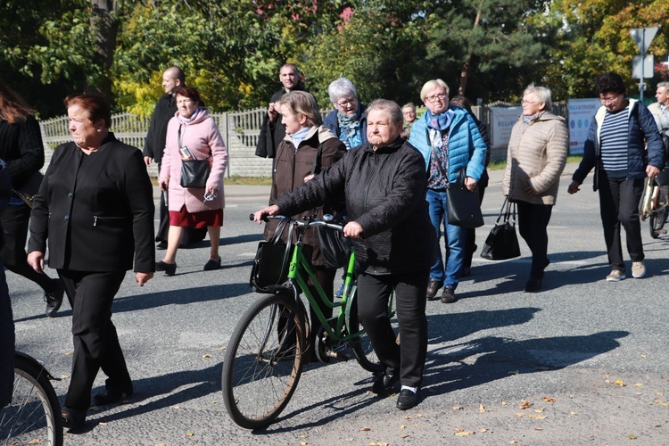 Domaniewice. Diecezjalna Pielgrzymka Kół Żywego Różańca