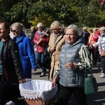 Domaniewice. Diecezjalna Pielgrzymka Kół Żywego Różańca