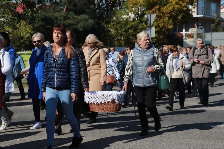 Domaniewice. Diecezjalna Pielgrzymka Kół Żywego Różańca