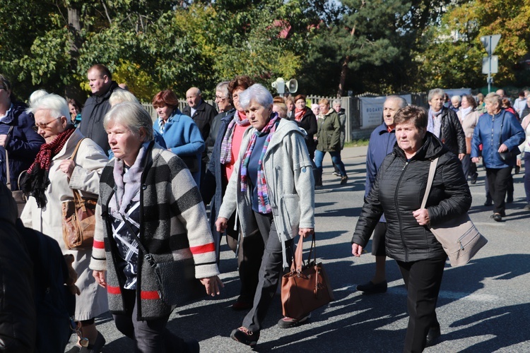 Domaniewice. Diecezjalna Pielgrzymka Kół Żywego Różańca