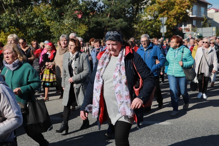 Domaniewice. Diecezjalna Pielgrzymka Kół Żywego Różańca