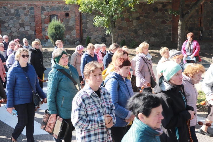 Domaniewice. Diecezjalna Pielgrzymka Kół Żywego Różańca