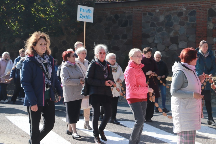 Domaniewice. Diecezjalna Pielgrzymka Kół Żywego Różańca