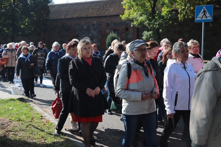 Domaniewice. Diecezjalna Pielgrzymka Kół Żywego Różańca