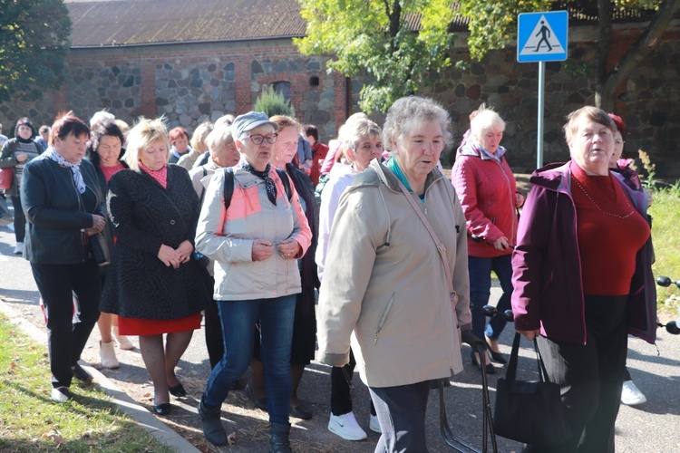 Domaniewice. Diecezjalna Pielgrzymka Kół Żywego Różańca