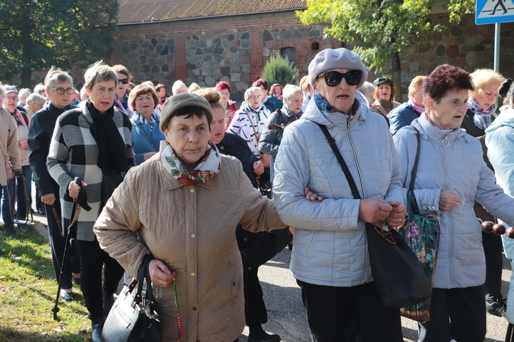 Domaniewice. Diecezjalna Pielgrzymka Kół Żywego Różańca